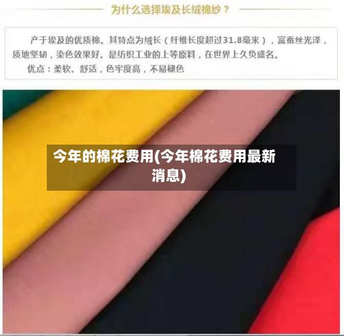 今年的棉花费用(今年棉花费用最新消息)-第2张图片