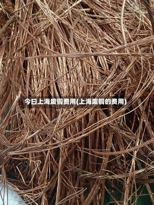 今曰上海废铜费用(上海废铜的费用)-第2张图片