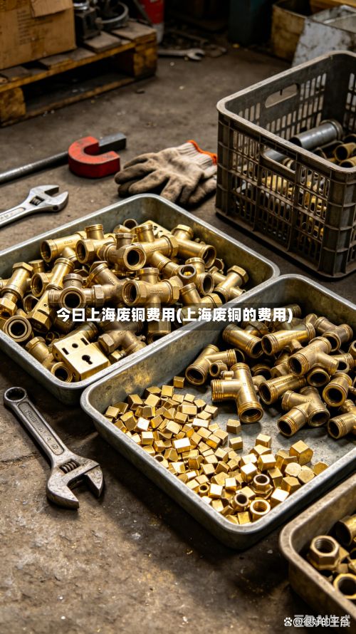 今曰上海废铜费用(上海废铜的费用)