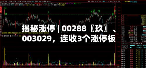 揭秘涨停 | 00288〖玖〗	、003029，连收3个涨停板-第1张图片