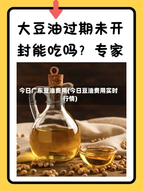 今日广东豆油费用(今日豆油费用实时行情)-第2张图片