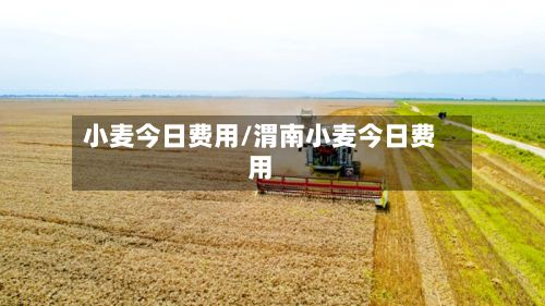 小麦今日费用/渭南小麦今日费用-第3张图片