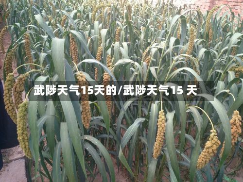 武陟天气15天的/武陟天气15 天-第2张图片