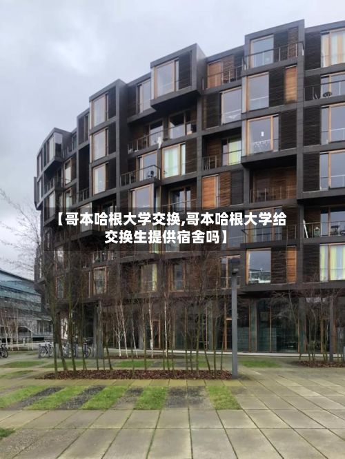 【哥本哈根大学交换,哥本哈根大学给交换生提供宿舍吗】-第2张图片
