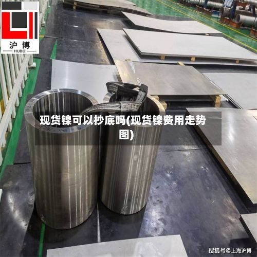 现货镍可以抄底吗(现货镍费用走势图)