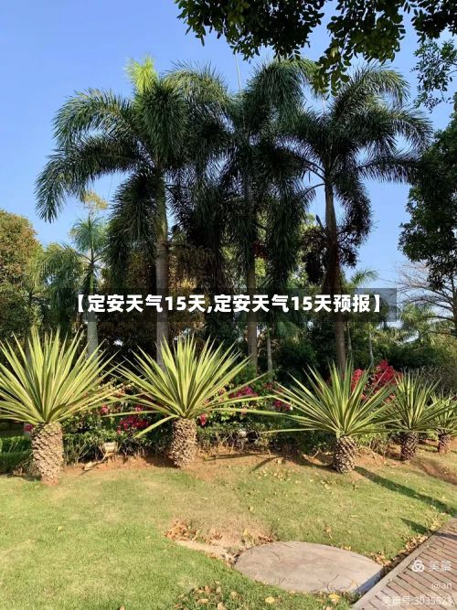 【定安天气15天,定安天气15天预报】-第2张图片