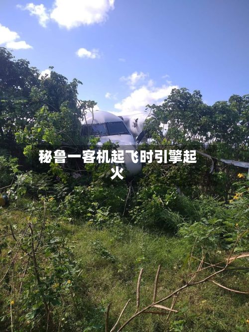 秘鲁一客机起飞时引擎起火-第3张图片