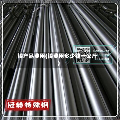 镍产品费用(镍费用多少钱一公斤)-第2张图片