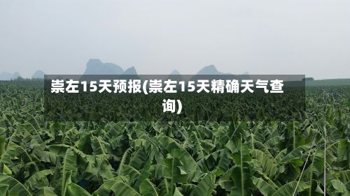 崇左15天预报(崇左15天精确天气查询)