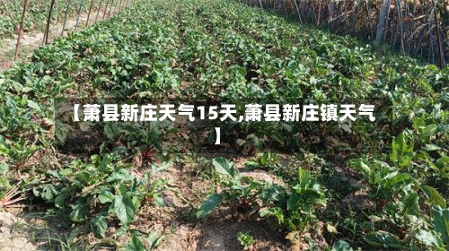 【萧县新庄天气15天,萧县新庄镇天气】-第3张图片