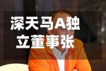 深天马A独立董事张红因个人原因辞职-第2张图片