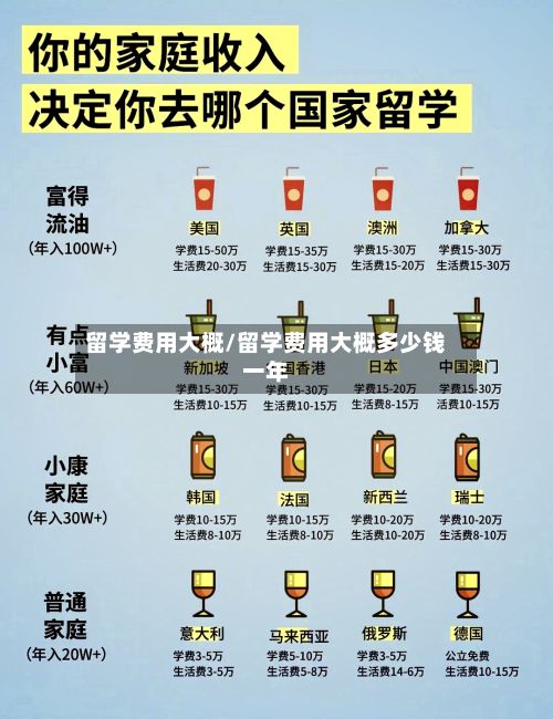 留学费用大概/留学费用大概多少钱一年