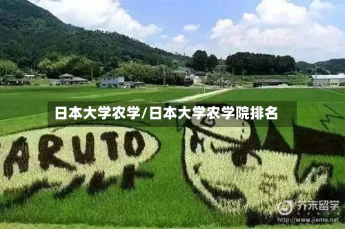 日本大学农学/日本大学农学院排名