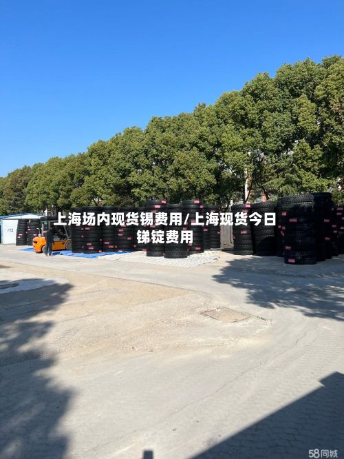 上海场内现货锡费用/上海现货今日锑锭费用-第2张图片