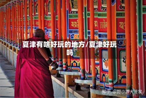 夏津有啥好玩的地方/夏津好玩吗
