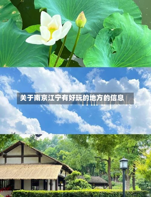 关于南京江宁有好玩的地方的信息