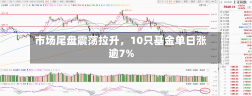 市场尾盘震荡拉升，10只基金单日涨逾7%-第3张图片