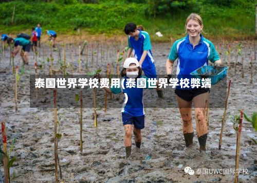 泰国世界学校费用(泰国世界学校弊端)-第2张图片