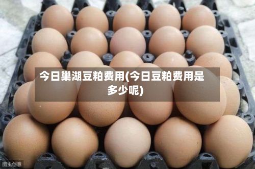 今日巢湖豆粕费用(今日豆粕费用是多少呢)