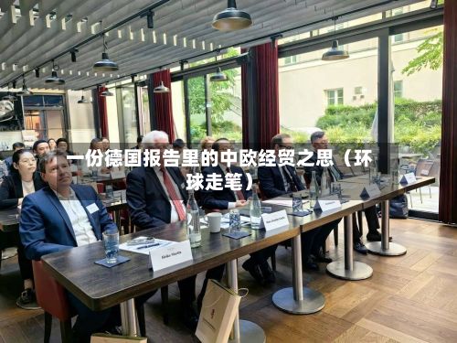一份德国报告里的中欧经贸之思(环球走笔)-第3张图片