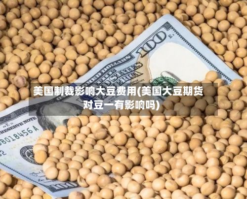 美国制裁影响大豆费用(美国大豆期货对豆一有影响吗)