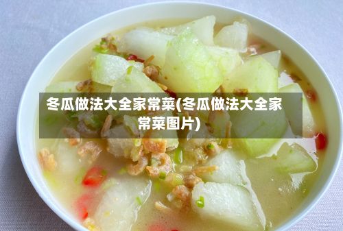 冬瓜做法大全家常菜(冬瓜做法大全家常菜图片)