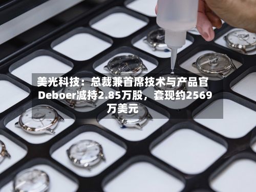 美光科技：总裁兼首席技术与产品官Deboer减持2.85万股，套现约2569万美元-第2张图片