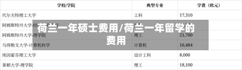荷兰一年硕士费用/荷兰一年留学的费用