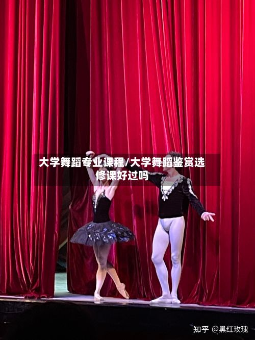 大学舞蹈专业课程/大学舞蹈鉴赏选修课好过吗