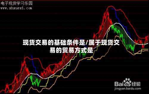 现货交易的基础条件是/属于现货交易的贸易方式是-第2张图片