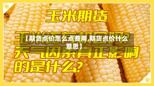 【期货点价怎么点费用,期货点价什么意思】-第2张图片
