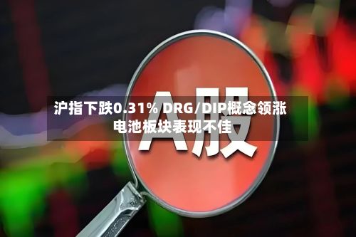 沪指下跌0.31% DRG/DIP概念领涨 电池板块表现不佳-第3张图片