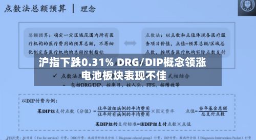 沪指下跌0.31% DRG/DIP概念领涨 电池板块表现不佳-第1张图片