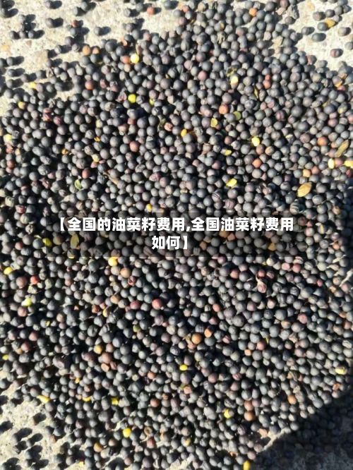 【全国的油菜籽费用,全国油菜籽费用如何】
