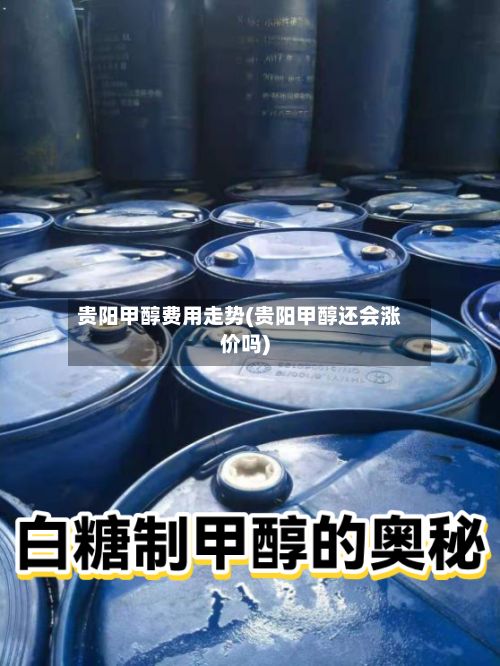 贵阳甲醇费用走势(贵阳甲醇还会涨价吗)
