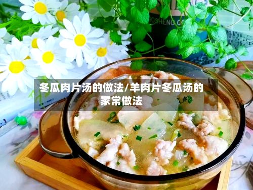 冬瓜肉片汤的做法/羊肉片冬瓜汤的家常做法-第2张图片