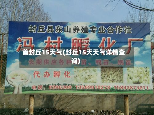 首封丘15天气(封丘15天天气详情查询)