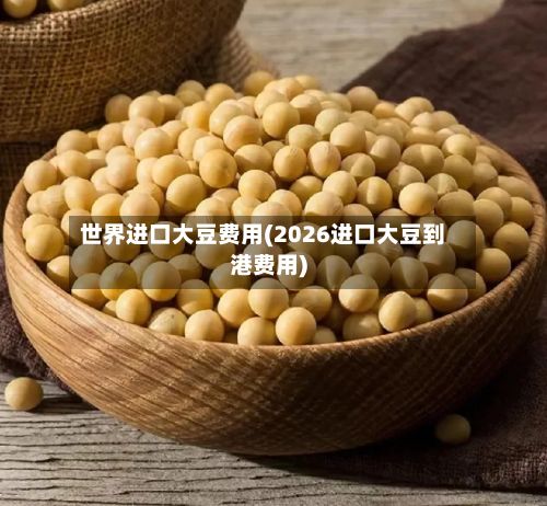 世界进口大豆费用(2026进口大豆到港费用)