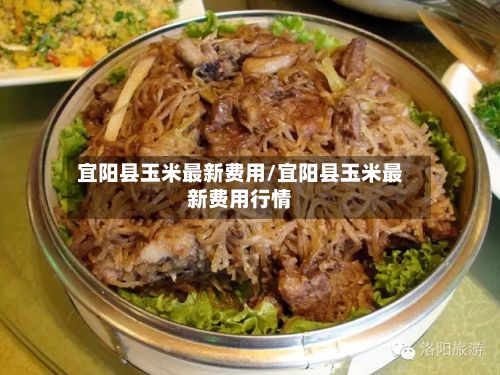 宜阳县玉米最新费用/宜阳县玉米最新费用行情