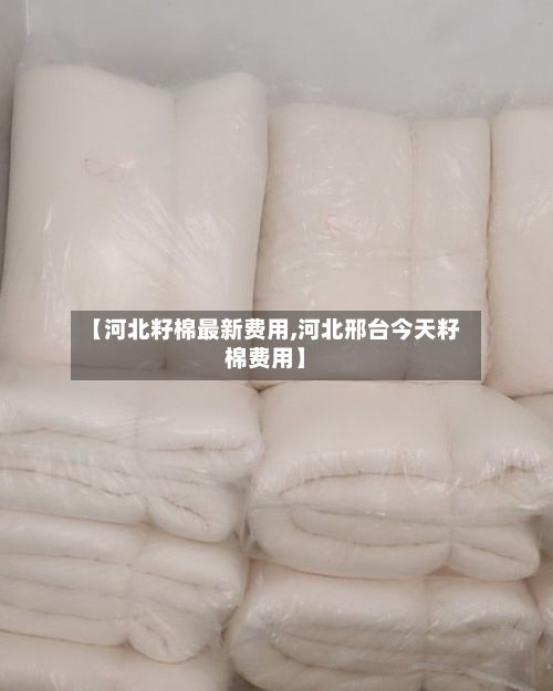 【河北籽棉最新费用,河北邢台今天籽棉费用】-第3张图片