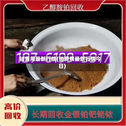 铂费用最新行情(铂费用最新行情今日)-第3张图片