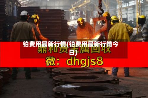 铂费用最新行情(铂费用最新行情今日)