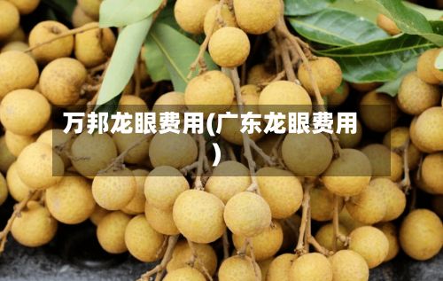 万邦龙眼费用(广东龙眼费用)-第2张图片
