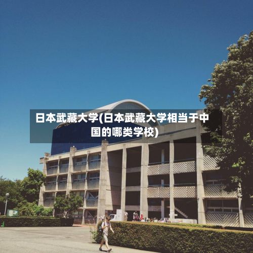 日本武藏大学(日本武藏大学相当于中国的哪类学校)