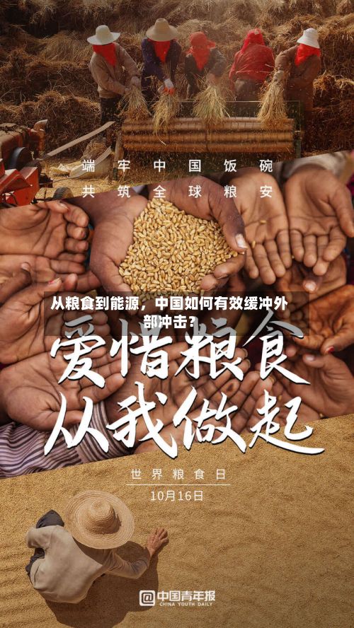 从粮食到能源，中国如何有效缓冲外部冲击？