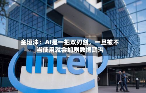 金垣洙：AI是一把双刃剑，一旦被不当使用就会加剧数据鸿沟-第2张图片