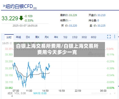 白银上海交易所费用/白银上海交易所费用今天多少一克-第2张图片