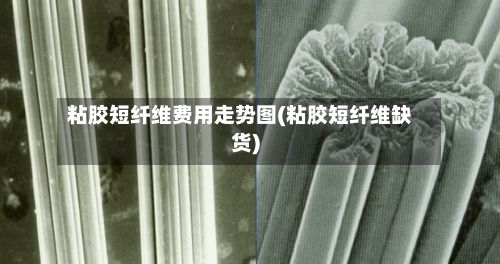 粘胶短纤维费用走势图(粘胶短纤维缺货)
