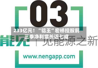 233亿元!“铝王”宏桥控股前三季净利增长近七成