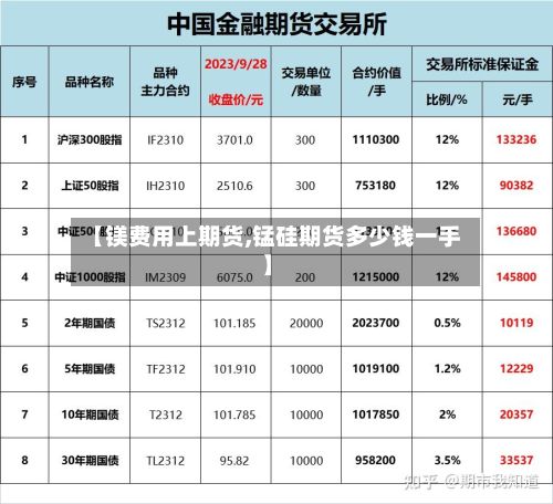 【镁费用上期货,锰硅期货多少钱一手】